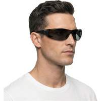 Lunettes de s&eacute;curit&eacute; Adapt Lite, Lentille Fum&eacute;e, Antibu&eacute;e/Anti-&eacute;gratignures, ANSI Z87+/R&eacute;pond ou surpasse la norme CSA Z94.3 Auto Electric Service Ltd.