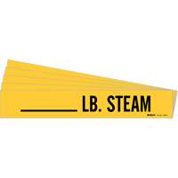 "LB. Steam" Pipe Markers, Self-Adhesive, 2-1/4" H x 2-3/4" W, Black on Yellow Auto Electric Service Ltd.