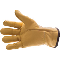 Gants antivibration en cuir Air Glove, Taille T-petit, Paume Cuir fleur Auto Electric Service Ltd.