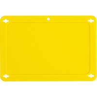 Blank Valve Tag, Plastic, 4-3/4" W x 3-1/4" H Auto Electric Service Ltd.