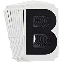 Quick-Align&reg; Individual Gothic Number and Letter Labels, B, 4" H, Black Auto Electric Service Ltd.