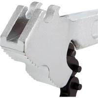 Cl&eacute; &agrave; chaîne Auto Electric Service Ltd.