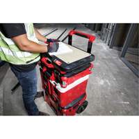 Packout Customizable Work Top Auto Electric Service Ltd.