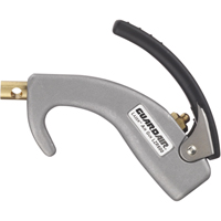 Lazer&reg; Series Palm Air Guns Auto Electric Service Ltd.