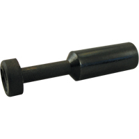 P.t.c. Plug Auto Electric Service Ltd.