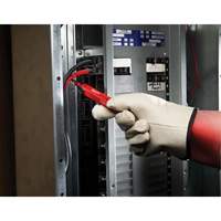 D&eacute;tecteur de tension, 50 - 1000 V, Alerte Son Auto Electric Service Ltd.