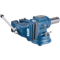 Multi-Purpose Bench Vise, 5" Jaw Width, 3-1/10" Throat Depth Auto Electric Service Ltd.