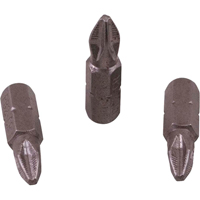 Insert Bit Auto Electric Service Ltd.