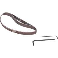 Belt Sander, 13" - 3/8", 16 CFM, 1/4" NPTF Auto Electric Service Ltd.