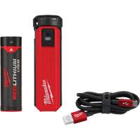Trousse d'alimentation et de chargeur USB Redlithium, 4 V, Lithium-ion Auto Electric Service Ltd.