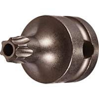 Socket Bit, Torx&reg; Tamper, 25 x 1" L, 3/8" Drive Auto Electric Service Ltd.