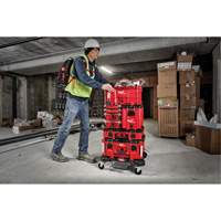Packout Compact Tool Box, 10" x 16-1/5" x 13", Black/Red Auto Electric Service Ltd.