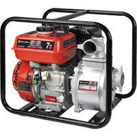 Gas Powered Water Pump, 196 cc, 4-Stroke OHV, 7.0 HP Auto Electric Service Ltd.