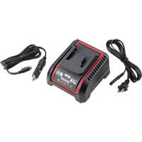 Chargeur de batterie 2,5 Ah et 5,0 Ah, 120 V, Lithium-ion Auto Electric Service Ltd.