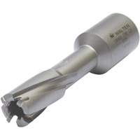 Core Cut Annular Cutter with Weldon Shank, 12 mm Diameter, Carbide, 30 mm Depth of Cut, 3/4" Shank Auto Electric Service Ltd.