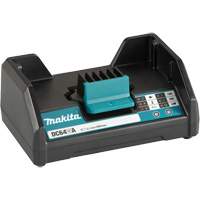 DC64WA Standard Battery Charger, 64 V, Lithium-Ion Auto Electric Service Ltd.