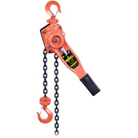 VLP Series Lever Chain Hoist, 10' Lift, 1653.46 lbs. (0.75 tons) Capacity Auto Electric Service Ltd.