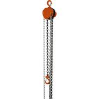 VHC Series Chain Hoists, 10' Lift, 1100 lbs. (0.5 tons) Capacity, Alloy Steel Chain Auto Electric Service Ltd.