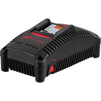 Chargeur de batterie IQV40, 40 V, Lithium-ion Auto Electric Service Ltd.