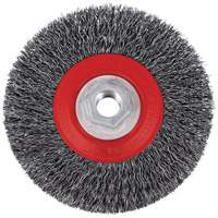5C14T High Performance Crimped Wire Brush, 5" Dia., 0.014" Fill, 5/8"-11NC Arbor Auto Electric Service Ltd.