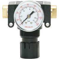 MODULAIR 200 Acetal Piston Regulator, 1/4" NPT, 150 PSI Max. PSI, In Line/Modular Auto Electric Service Ltd.