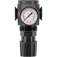 MODULAIR 300 Zinc Diaphragm Regulator, 3/8" NPT, 300 psi Max. PSI, In Line/Modular Auto Electric Service Ltd.