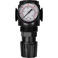 MODULAIR 300 Compressed Air Regulator, 1/2" NPT, 300 psi Max. PSI, In Line/Modular Auto Electric Service Ltd.