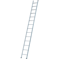 Industrial Heavy-Duty Extension/Straight Ladders, 8', Aluminum, 300 lbs., CSA Grade 1A Auto Electric Service Ltd.