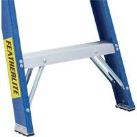 Industrial Duty Stepladders (6300 Series), 4', Fibreglass, 250 lbs. Capacity, Type 1 Auto Electric Service Ltd.