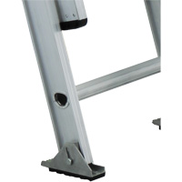 Industrial Heavy-Duty Extension Ladders (3200D Series), 300 lbs. Cap., 13' H, Grade 1A Auto Electric Service Ltd.
