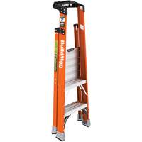 Safespace Platform Step Ladder, 2', 300 lbs. Cap. Auto Electric Service Ltd.