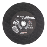 Meule &agrave; tronçonner rapide en acier inoxydable Portacut, 12" x 1/8", Arbre de 3/4", Type 1, Carbure de silicium, 6300 Tr/min Auto Electric Service Ltd.
