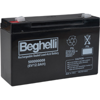 Sealed Lead Acid Batteries, 6 V, 12 Ah Auto Electric Service Ltd.