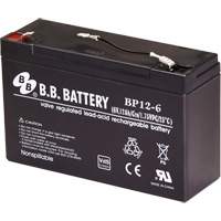 Flashlight Parts & Accessories