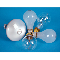 LAMPE INCANDESCENTE,25W,130V,GIVREE,2/PQT Auto Electric Service Ltd.