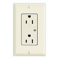 Prise Protectrice De Surtension 125 V - Qualit&eacute; Industrielle, Double 15 A Auto Electric Service Ltd.