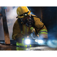 Lanterne, DEL,  Lumens, Piles C Auto Electric Service Ltd.