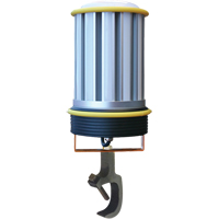 Beacon 360° Wide Area Light With Clamp Mount, LED, 120 W, 13000 Lumens, Aluminum Housing Auto Electric Service Ltd.