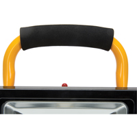 Portable Work Light, LED, 20 W, 2500 Lumens, Aluminum Housing Auto Electric Service Ltd.