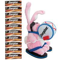 Ensemble promotionnel de piles alcalines industrielles, AA, 1,5 V Auto Electric Service Ltd.