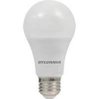 Ampoule DEL, A19, 8,5 W, 800 lumens, base Moyen Auto Electric Service Ltd.