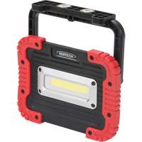 Portable Work Light, LED, 10 W, 1000 Lumens, Plastic Housing Auto Electric Service Ltd.