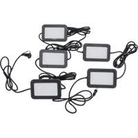 LED String Work Lights, 5 Lights, 50' L, Plastic Housing Auto Electric Service Ltd.