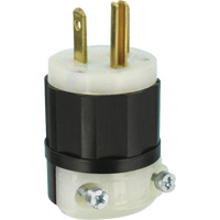 Hospital Grade Extension Plug, Nylon, 20 Amps, 125 V Auto Electric Service Ltd.