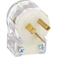 Angled Hospital Grade Extension Plug, Nylon, 20 Amps, 250 V Auto Electric Service Ltd.