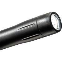 Lampe stylo, DEL, 139 lumens, Corps en Plastique, piles AAA, Compris Auto Electric Service Ltd.