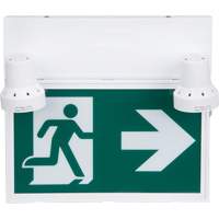 Emergency Lighting