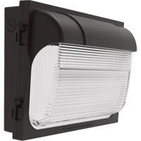 TWX Wall Luminaire, LED, 480 V, 9 W - 54 W, 14" H x 18" W x 5" D Auto Electric Service Ltd.