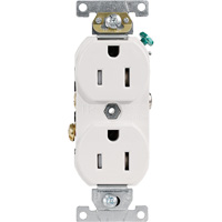 Duplex Receptacle Auto Electric Service Ltd.