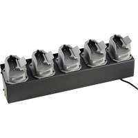 Chargeur de batteries de lampe de poche Survivor X Auto Electric Service Ltd.